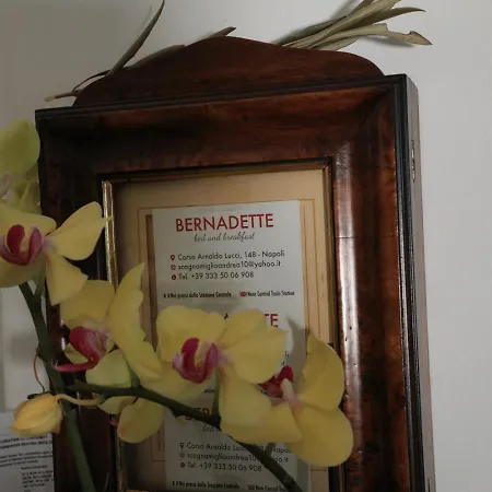 B&B Bernadette